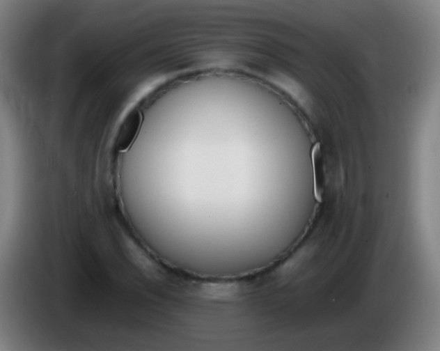 X0000085311118200703302016