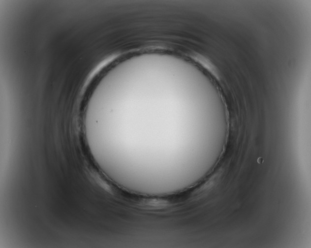 X0000085311119200703302016