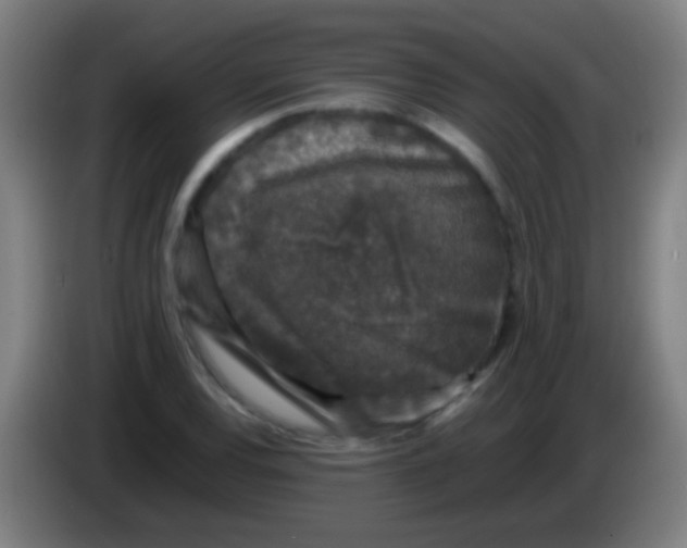 X0000085311120200703302016