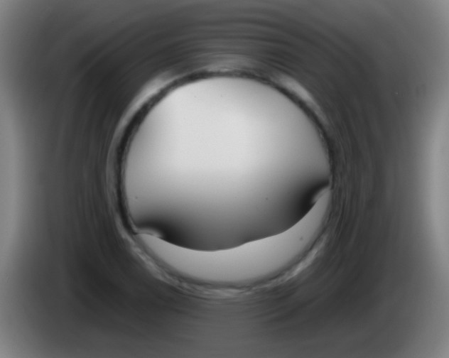 X0000085311122200703302017