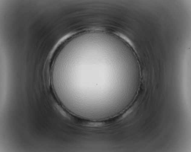 X0000085311123200703302017