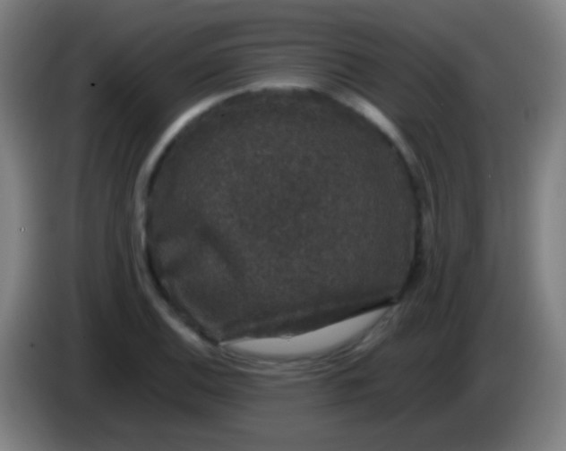 X0000085311124200703302017