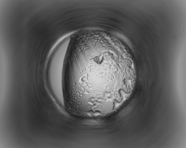 X0000085311125200703302017