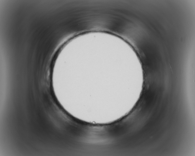 X0000085311126200703302017