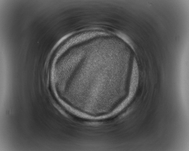 X0000085311127200703302017