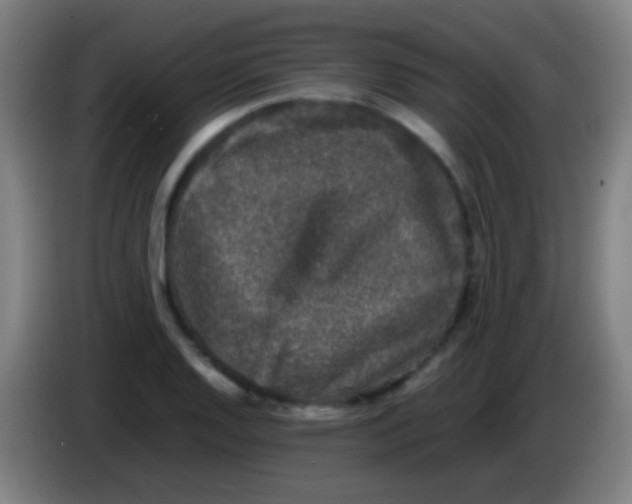 X0000085311128200703302017