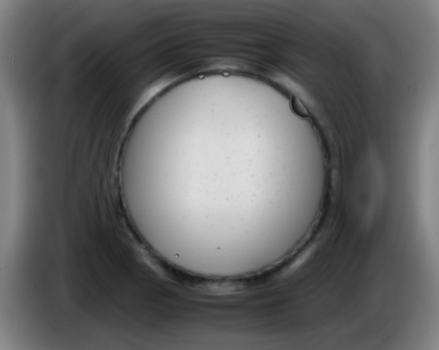 X0000085311129200703302017