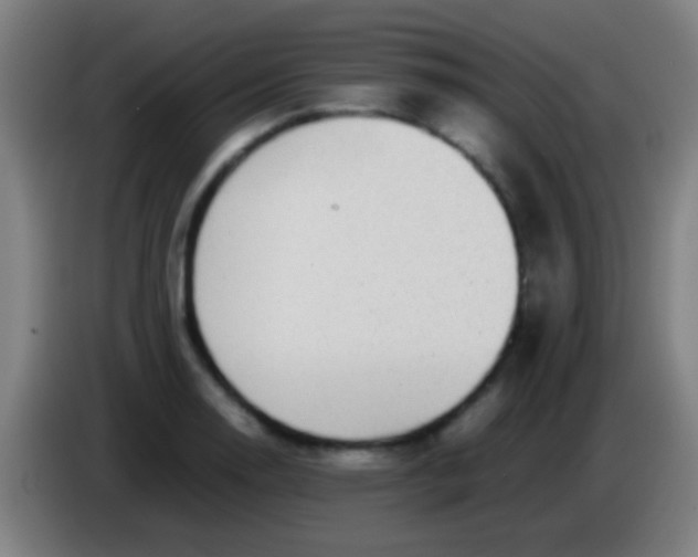 X0000085311130200703302017