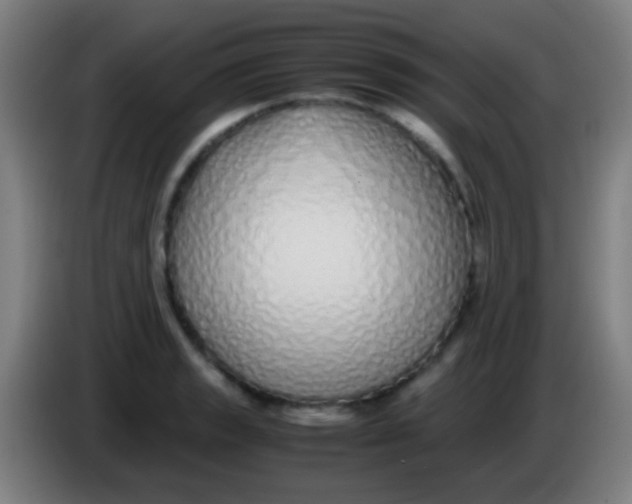 X0000085311133200703302017