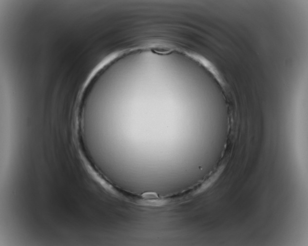 X0000085311134200703302017