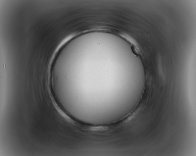 X0000085311135200703302017