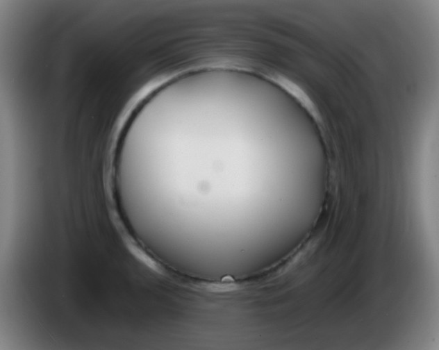 X0000085311136200703302017