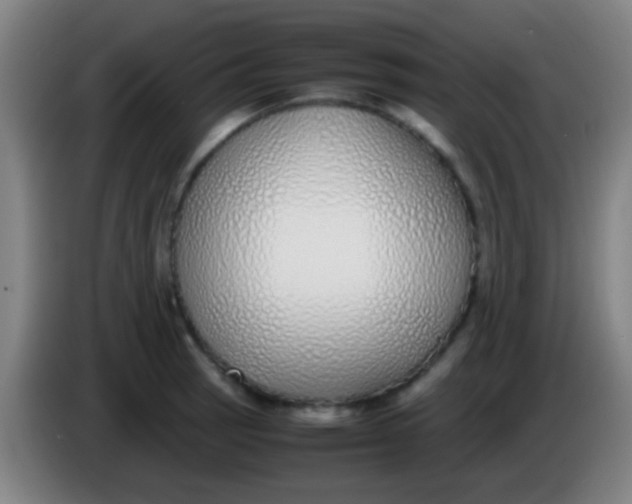 X0000085311137200703302017