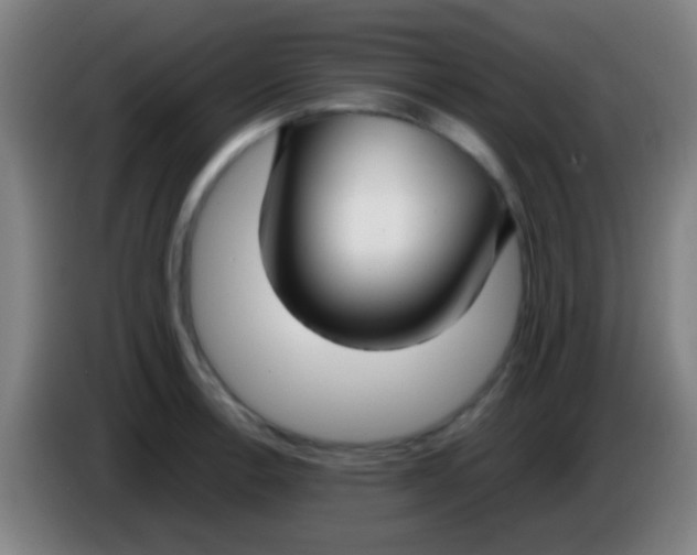 X0000085311138200703302017