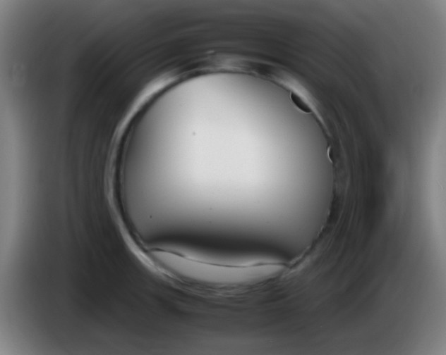 X0000085311139200703302017