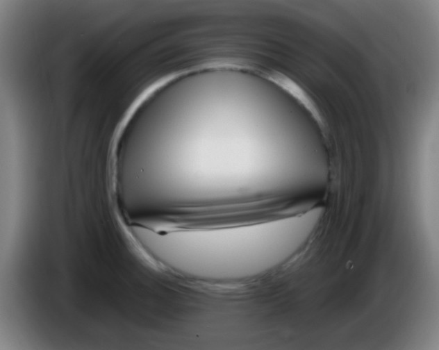 X0000085311140200703302017