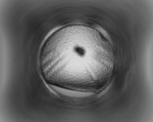 X0000085311141200703302017