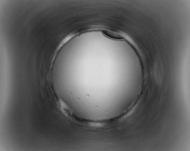 X0000085311145200703302017