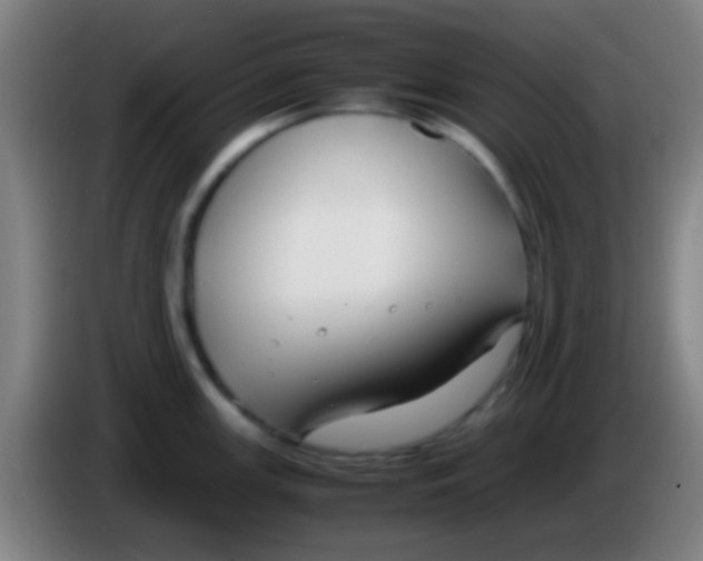 X0000085311147200703302017