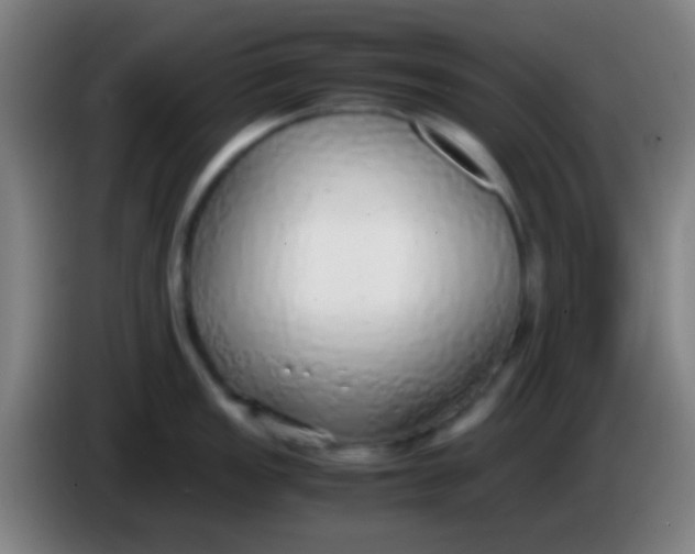 X0000085311149200703302017