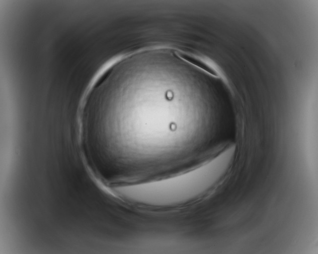 X0000085311151200703302017