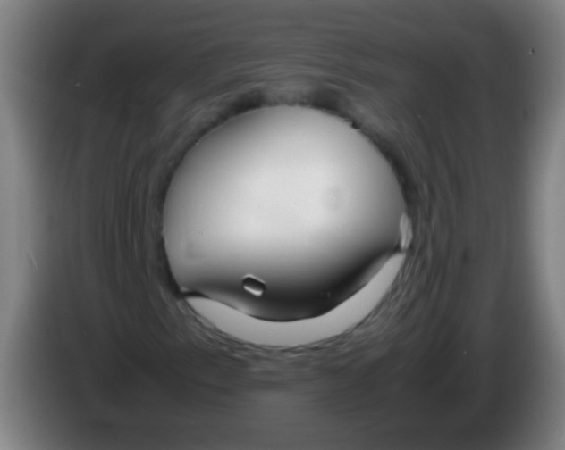 X0000085311153200703302016