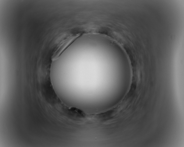 X0000085311157200703302016