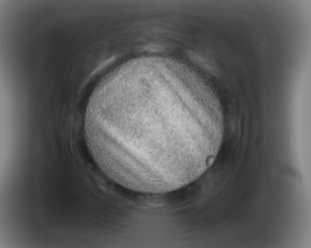 X0000085311158200703302016