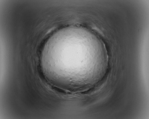 X0000085311159200703302016