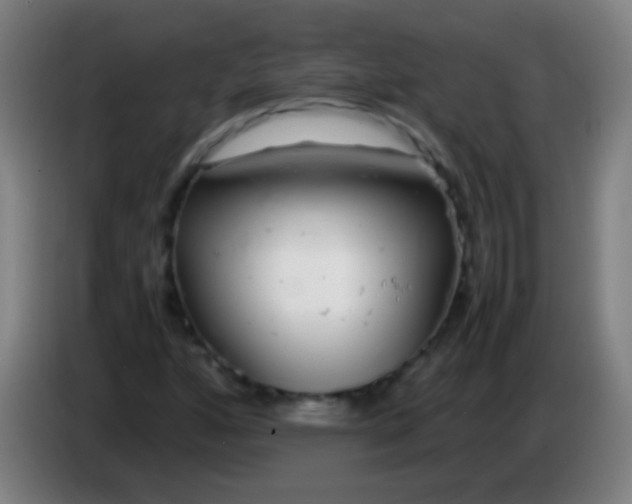 X0000085311160200703302016