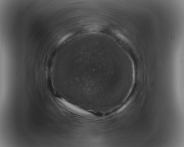 X0000085311161200703302016