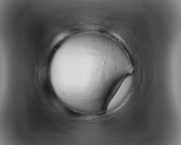 X0000085311163200703302016