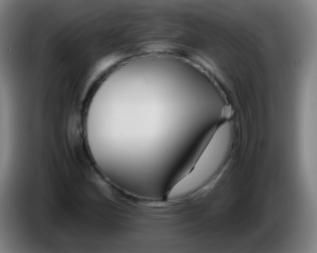 X0000085311164200703302016