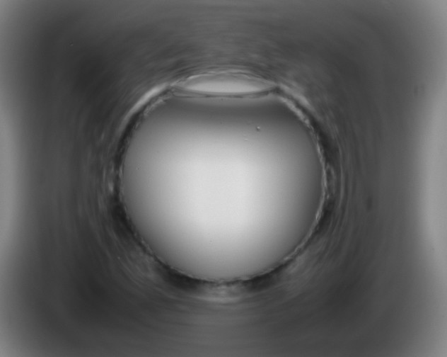 X0000085311165200703302016