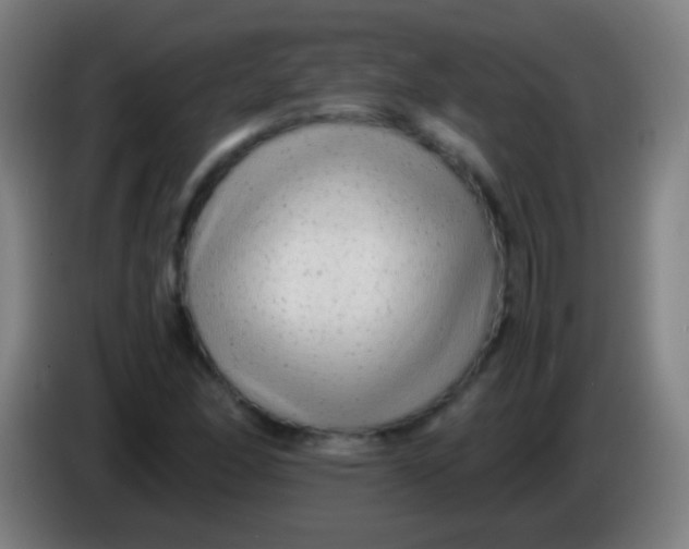 X0000085311166200703302016