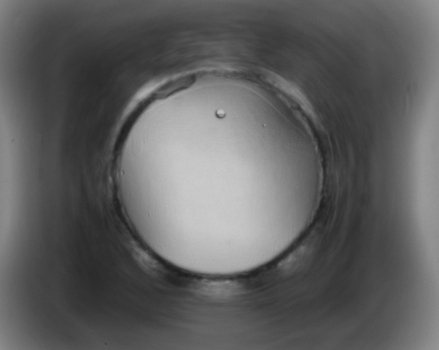 X0000085311168200703302016