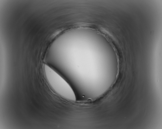 X0000085311169200703302016