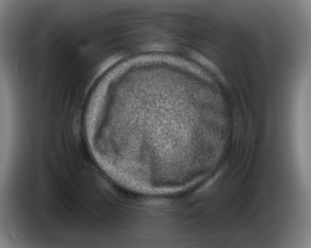 X0000085311170200703302016