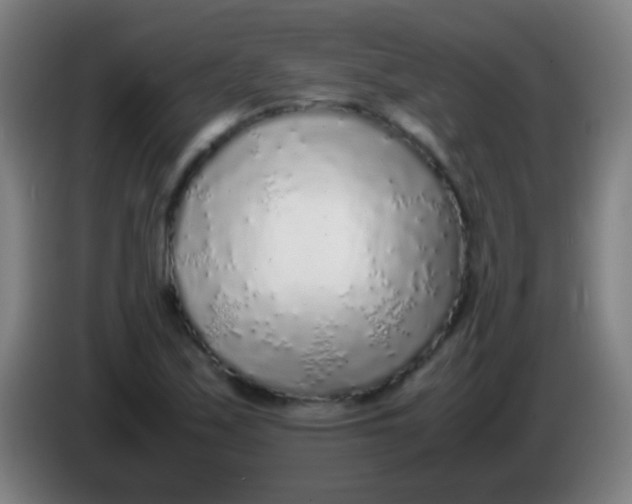 X0000085311171200703302016