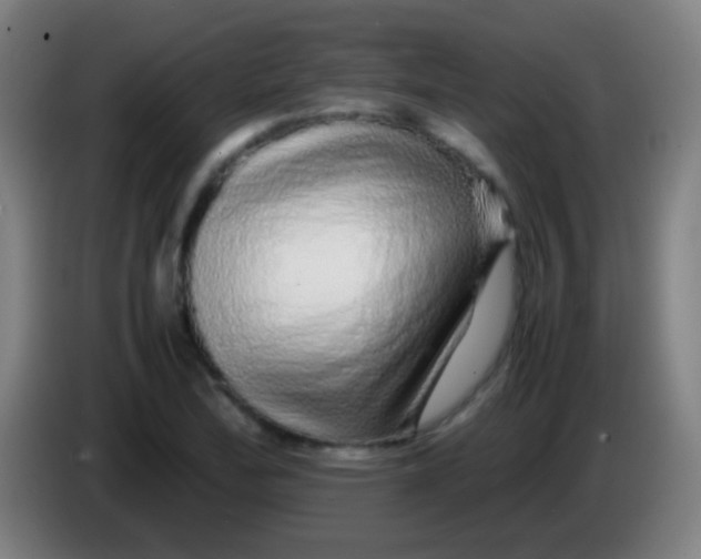 X0000085311172200703302016