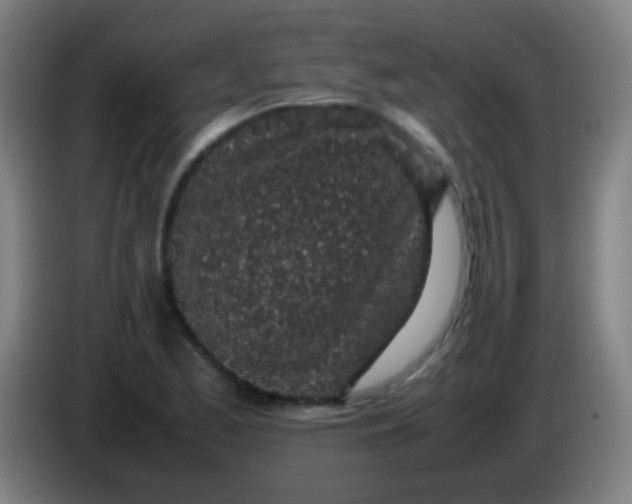 X0000085311173200703302016