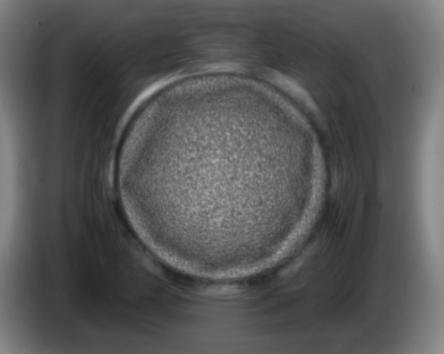 X0000085311174200703302016