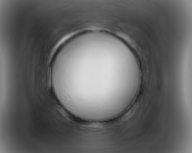 X0000085311175200703302016