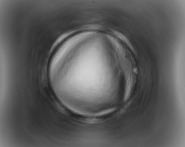 X0000085311176200703302016