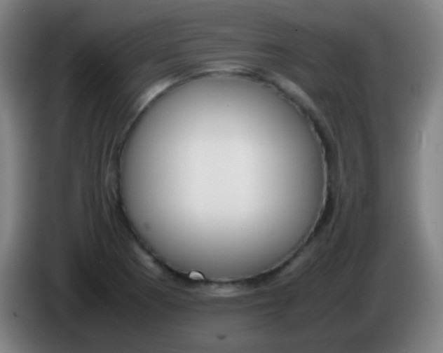 X0000085311177200703302016