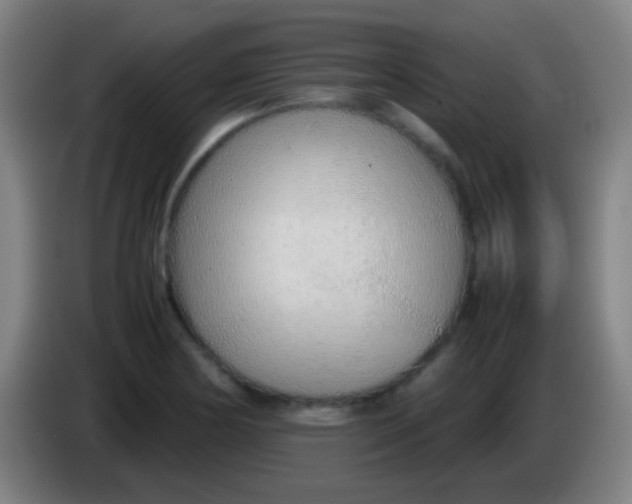 X0000085311178200703302016