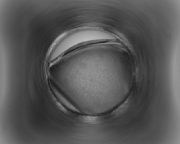 X0000085311180200703302016