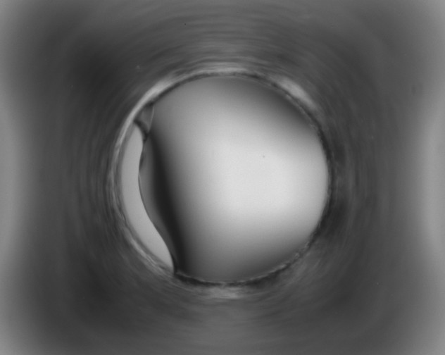 X0000085311181200703302016