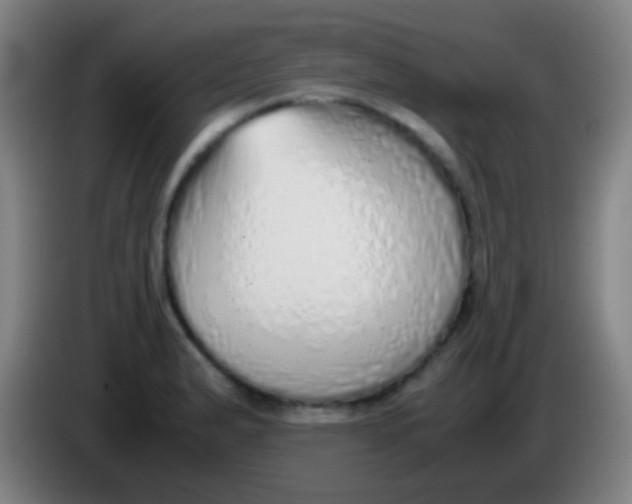 X0000085311183200703302016