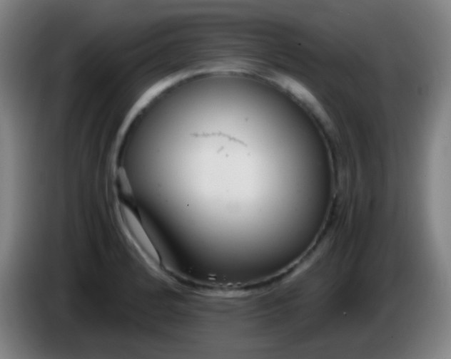 X0000085311184200703302016